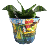 PLANTAS Y JARDIN